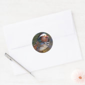 Mandarin Duck Ronde Sticker (Envelop)
