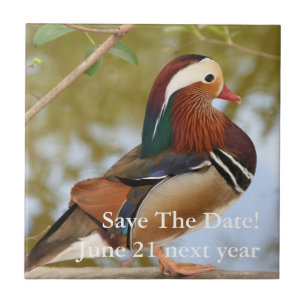 Mandarin Duck Tegeltje