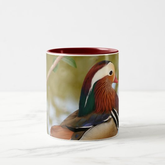 Mandarin Duck Tweekleurige Koffiemok (Center)