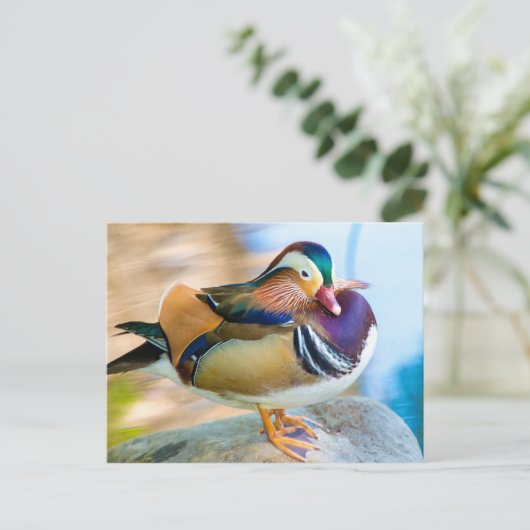 Mandarin Duck, vast door water Briefkaart (Staand voorkant)