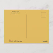 Mandarin Duck, vast door water Briefkaart (Achterkant)