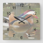 Mandarin Duck Vierkante Klok (Voorkant)