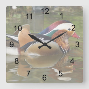 Mandarin Duck Vierkante Klok