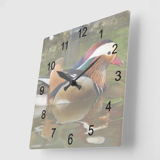 Mandarin Duck Vierkante Klok (Hoek)