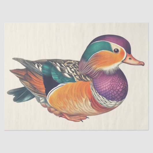 Mandarin Duck Waterverf Decoupage Vogelkunst Tissuepapier (Voorkant)