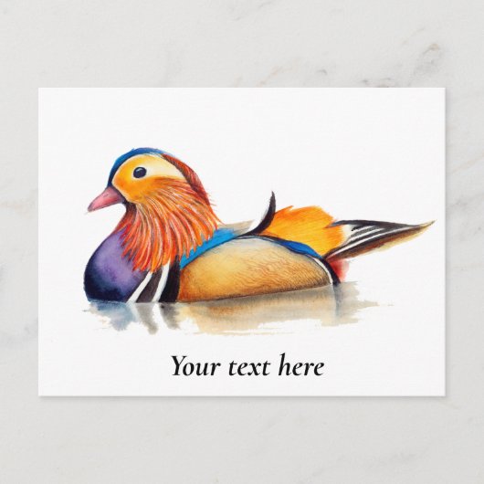 Mandarin Duck Waterverf Painting Briefkaart (Voorkant)