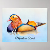 Mandarin Duck Waterverf Poster schilderen (Voorkant)
