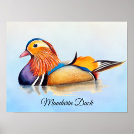 Mandarin Duck Waterverf Poster schilderen