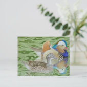 Mandarin Ducks op een meer Briefkaart (Staand voorkant)