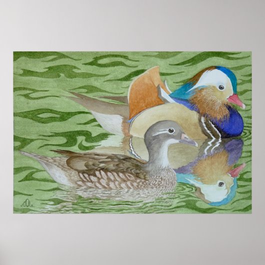Mandarin Ducks op een meer Poster (Voorkant)
