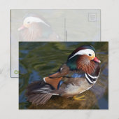 Mandarin Eend Briefkaart (Voorkant / Achterkant)