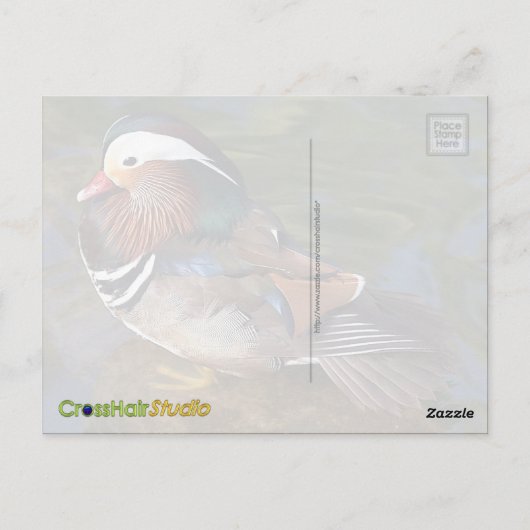 Mandarin Eend Briefkaart (Achterkant)