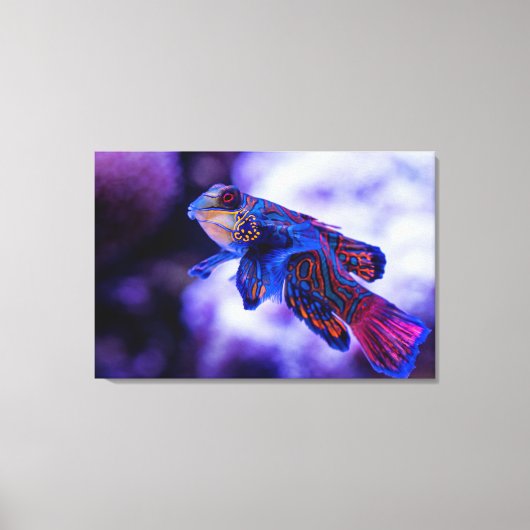 Mandarin Goby Fish Canvas Afdruk (Voorkant)