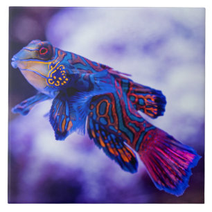Mandarin Goby Fish Ceramic Tile Tegeltje