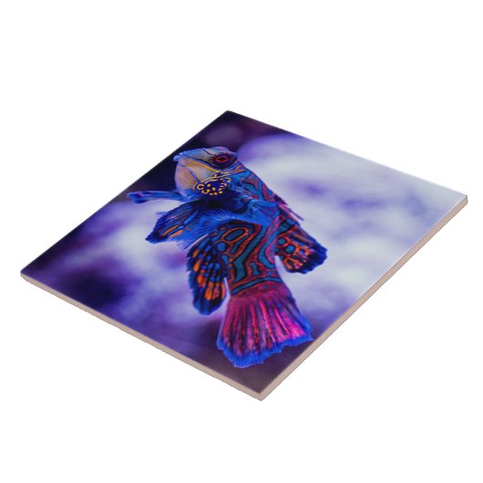 Mandarin Goby Fish Ceramic Tile Tegeltje (Zijkant)