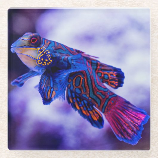 Mandarin Goby Fish Glazen Onderzetter (Voorkant)