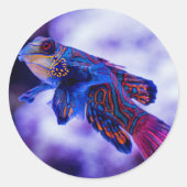 Mandarin Goby Fish Ronde Sticker (Voorkant)
