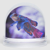 Mandarin Goby Fish Sneeuwbol (Voorkant)