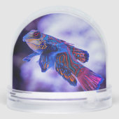 Mandarin Goby Fish Sneeuwbol (Achterkant)