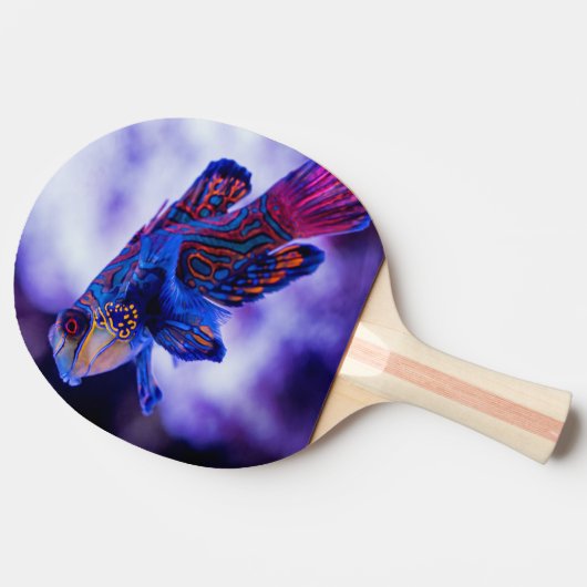 Mandarin Goby Fish Tafeltennisbatje (Zijkant)