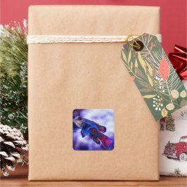 Mandarin Goby Fish Vierkante Sticker