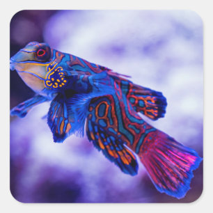 Mandarin Goby Fish Vierkante Sticker