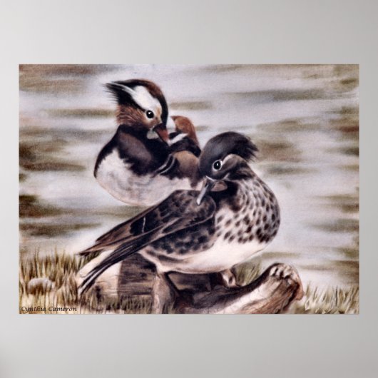 Mandarin Pair Poster (Voorkant)