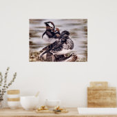 Mandarin Pair Poster (Keuken)