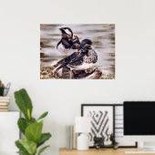 Mandarin Pair Poster (Thuiskantoor)