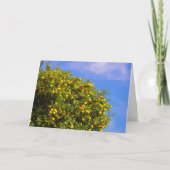 Mandarin Sinaasappels Portret Kaart (Voorkant)