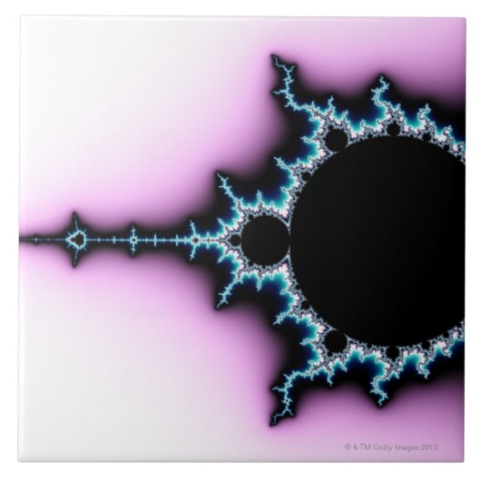 Mandelbrot 5 tegeltje (Voorkant)