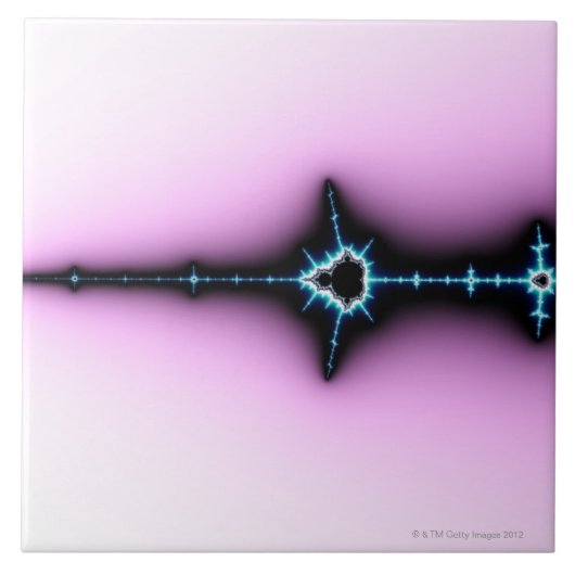 Mandelbrot 6 tegeltje (Voorkant)