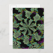 Mandelbulb Fractel 2 Briefkaart (Voorkant / Achterkant)