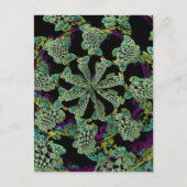 Mandelbulb Fractel 2 Briefkaart (Voorkant)