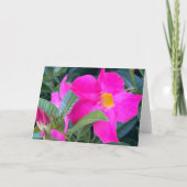Mandevilla Blank Note Card Bedankkaart (Voorkant)