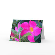 Mandevilla Blank Note Card