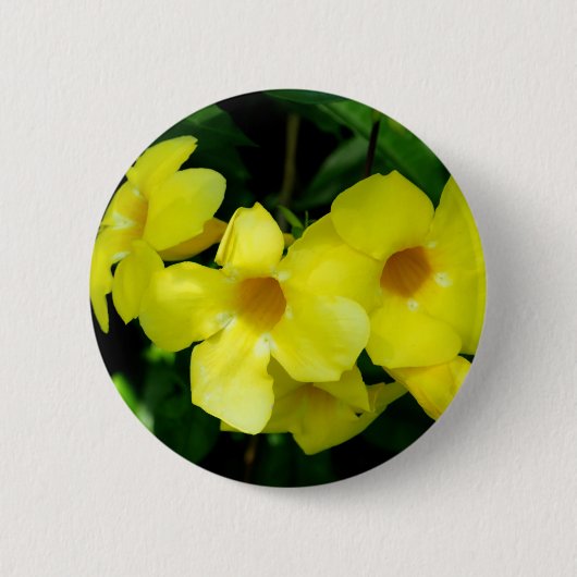 Mandevilla.JPG Ronde Button 5,7 Cm (Voorkant)