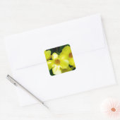 Mandevilla.JPG Vierkante Sticker (Envelop)