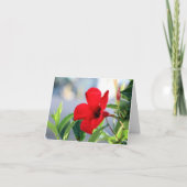 Mandevilla Kaart (Voorkant)