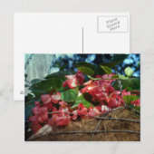 mandje bloemen briefkaart (Voorkant / Achterkant)