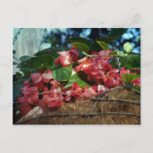 mandje bloemen briefkaart (Voorkant)