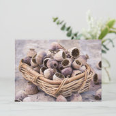 mandje gedroogde pootpasta's kaart (Staand voorkant)