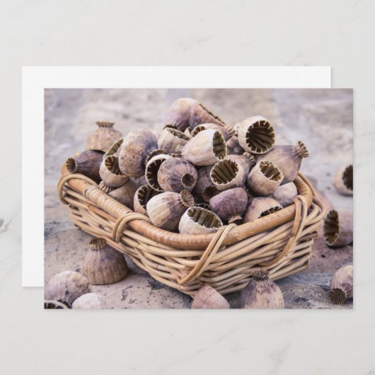 mandje gedroogde pootpasta's kaart (Voorkant / Achterkant)