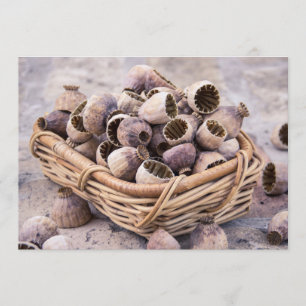 mandje gedroogde pootpasta's kaart