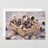 mandje gedroogde pootpasta's kaart (Voorkant / Achterkant)