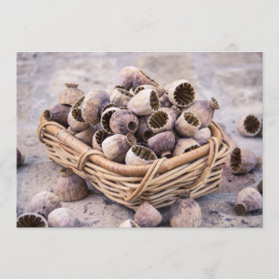 mandje gedroogde pootpasta's kaart