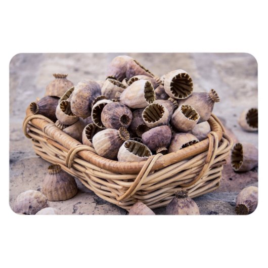 mandje gedroogde pootpasta's magneet (Horizontaal)