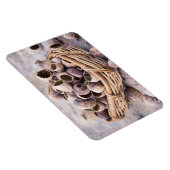 mandje gedroogde pootpasta's magneet (Rechterzijde)