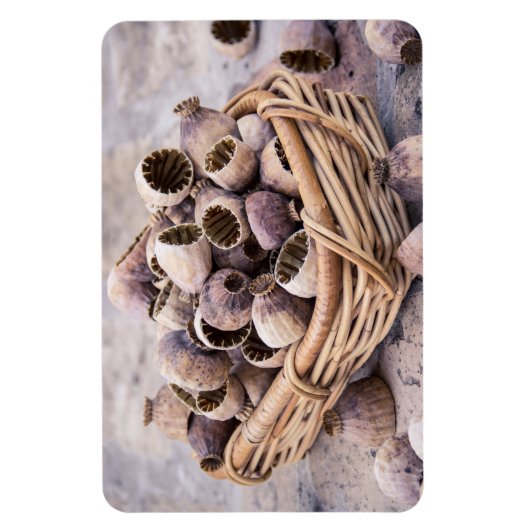 mandje gedroogde pootpasta's magneet (Verticaal)