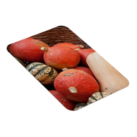 mandje van pompoenen magnet magneet (Rechterzijde)